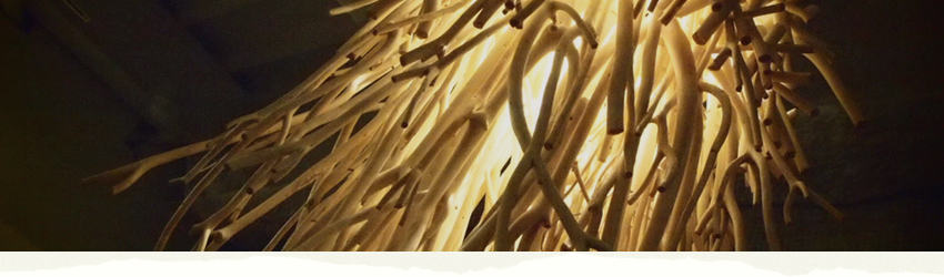 「ナチュラルインパクト」をコンセプトに ライフスタイル（生き方＝生活環境：習慣）、素材（クセ：骨格：状態）などを踏まえて お客様の魅力を引き出し、より輝けるようなヘアデザインを提案いたします。 