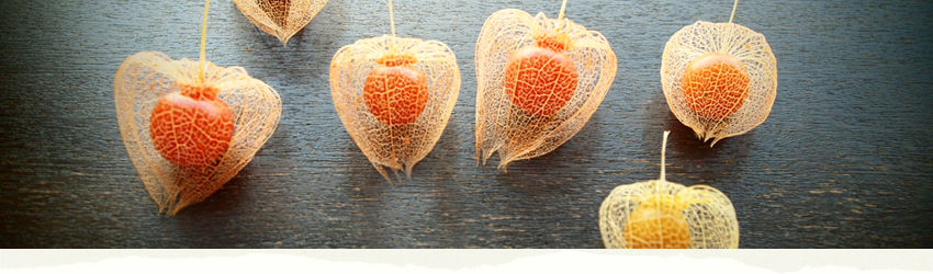 「ナチュラルインパクト」をコンセプトに ライフスタイル(生き方=生活環境:習慣)、素材(クセ:骨格:状態)などを踏まえて お客様の魅力を引き出し、より輝けるようなヘアデザインを提案いたします。